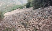 Randonnée Marche Saint-Raphaël - L' ESTEREL - DU COL DE L'EVEQUE AU PIC DU CAP ROUX ET GROTTE SAINT HONORAT - Photo 16