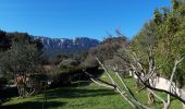 Trail Walking La Valette-du-Var - La Ripelle-24-03-21 - Photo 2