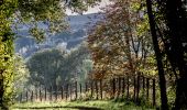 Tocht Stappen La Chapelle-Montligeon - La Chapelle-Montligeon - Tourouvre 19 km - Photo 6