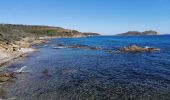 Tocht Stappen Ramatuelle - Cap Taillat  et Cap Lardier - Photo 2