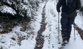 Tocht Stappen Stavelot - SityTrail - Extratrail_stavelot_13km_new - Photo 3