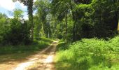 Percorso A piedi Compiègne - en forêt de Compiègne_34_autour du Buissonnet et du Berne - Photo 11