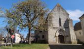 Trail Walking Sainte-Maure-de-Touraine - Sainte-Maure-de-Touraine - Sepmes via PRs - 20.5km 240m 4h35 (50mn) - 2025 03 19 - Photo 9