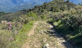 Trail Walking Cantaron - Cantaron : Monts Macaron et Ubac  par Levens Tourette réelle - Photo 7