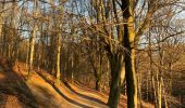 Trail Walking Ottignies-Louvain-la-Neuve - Bois de Lauzelle confi 31 - Photo 3