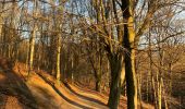 Percorso Marcia Ottignies-Louvain-la-Neuve - Bois de Lauzelle confi 31 - Photo 3