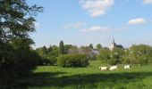 Tour Zu Fuß La Roche-en-Ardenne - 5. La Clairière - Photo 2