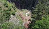 Excursión Senderismo Daluis - Gorges du Daluis - Photo 4