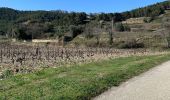 Trail Walking Aubignan - Rocalinaud - Photo 5
