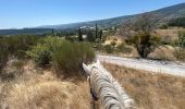Trail Horseback riding Revest-du-Bion - Provence 2025 J5 - Photo 1