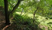 Excursión Senderismo Genappe - en passant par le bois ballon et les vignes du château de Bousval. - Photo 7