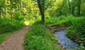 Trail Walking Gerpinnes - Balade dans le bois de Loverval - Photo 10