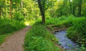 Percorso Marcia Gerpinnes - Balade dans le bois de Loverval - Photo 10