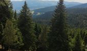 Tocht Stappen Orbey - randonnée des 3 lacs, lac noir , lac blanc et lac du former ( lac des truites) Vosges  - Photo 2