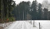 Percorso A piedi Schopfloch - Oberiflingen-Dießen - Photo 8