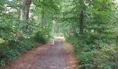 Tocht Stappen Genepiën - autour de chez maman et papa. - Photo 2