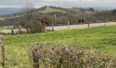 Trail Walking Aywaille - Elfique 13km - Photo 10