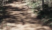 Trail Walking Romagnat - PUY GIROUX - Photo 7