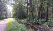 Trail Walking Jalhay - mon 8 de la statte  - Photo 10
