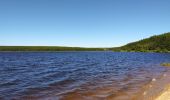 Tocht Wegfiets Arzenc-de-Randon - lac de Charpal - Photo 3