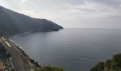 Tocht Stappen Vernazza - Corniglia-Monterosso-10kmD570m - Photo 1