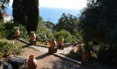 Tour Wandern Rayol-Canadel-sur-Mer - Wikiloc - Le rayon canadel - Opidum de monjean - Photo 4