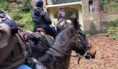 Trail Horseback riding Moyenmoutier - Christophe yoigo malfosse  - Photo 5