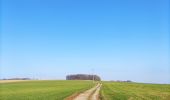 Percorso Marcia Houyet - Promenade vers les Aiguilles De Chaleux  - Photo 8