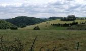 Randonnée Marche Dison - boucle au départ d'Andrimont (Dison)-balisage bleu - Photo 9