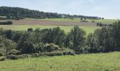 Tocht Stappen Ferrières - xhoris-les-baty-vers-le-centre- - Photo 1