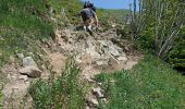 Trail Walking Stosswihr - Sentier des roches, hohneck, schiessrothried - Photo 3