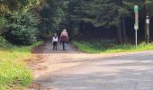 Randonnée Marche Paliseul - Boucle bois Neuvi, la grotte de Nollevaux, La Plaide - Photo 4