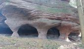 Tour Wandern Turquestein-Blancrupt - Saint Quirin le Kiboki - Photo 5
