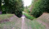 Trail Walking Seigy - Seigy - GR41 Saint-Aignan - 15.3km 250m 3h50 - 2022 08 27 - Photo 2