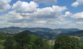 Trail Mountain bike Labaroche - tanet - Photo 3