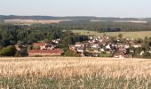 Tocht Stappen Frocourt - Sentier de Frocourt - Photo 10