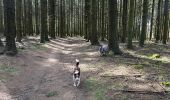 Trail Walking Libramont-Chevigny - Cani trail 5km avec raccourcis  - Photo 6