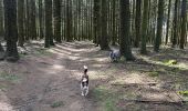 Trail Walking Libramont-Chevigny - Cani trail 5km avec raccourcis  - Photo 6