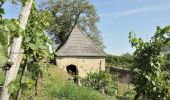 Excursión A pie Gemeinde Dürnstein - Welterbesteig Wachau Etappe 2 - Photo 5