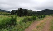 Trail Walking Aydat - Puy de Vichatel depuis la Garandie - Photo 2