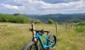 Tour Elektrofahrrad Le Puy-en-Velay - 160522 - Photo 1