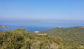 Excursión Senderismo Hyères - Port Cros 28/10/22 - Photo 4