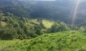 Excursión Ruta Laussonne - Plateau de Fraysse(17K 450D+) - Photo 8