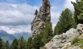 Tocht Stappen Bourg-Saint-Maurice - les deux têtes  - Photo 4