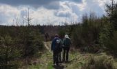 Tour Wandern Stablo - RB Wavreumont 🥾 - Photo 8