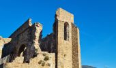 Tour Wandern Collobrières - collobrieres, Lambert, laquina - Photo 14