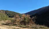 Tocht Stappen Cornus - Plateau de Guilhaumard La Sorgues - Photo 2