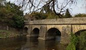 Tour Wandern Saint-Céneri-le-Gérei - Saint ceneri - Photo 9