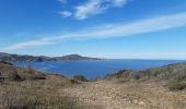Percorso Marcia Banyuls-sur-Mer - banyuls . coll de gran bau . retour par le littoral  - Photo 7