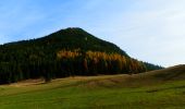 Tocht Te voet okres Ružomberok - Medvedia cesta - Photo 5